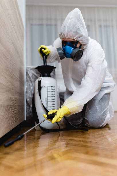 Emergency Pest Control Services in Aquia Harbour, VA